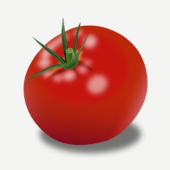 Realistic tomato clipart, collage element | Free PSD - rawpixel