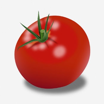 Realistic tomato clipart illustration. Free | Free Photo - rawpixel