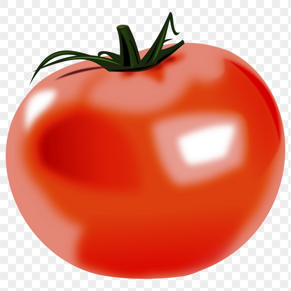 Realistic tomato png sticker food | Free PNG - rawpixel