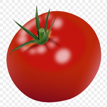 Realistic tomato png sticker illustration, | Free PNG - rawpixel