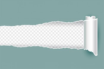Realistic torn ripped paper with rolled edges Free Vector