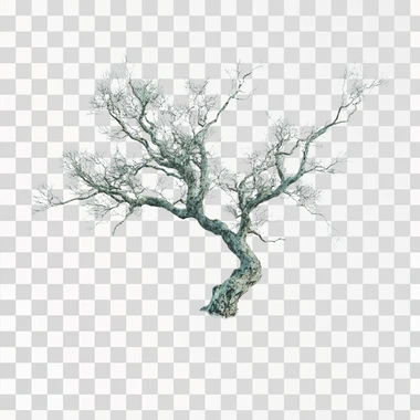 realistic tree - no nbackground