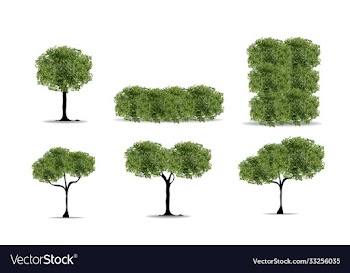 realistic tree on white background eps10