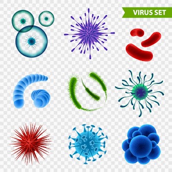 Realistic virus cells pack Free Vector