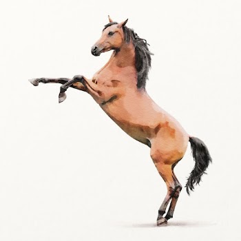 Rearing horse illustration, animal watercolor | Free Photo Illustration - rawpixel