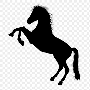 Rearing horse png sticker animal | Free PNG - rawpixel
