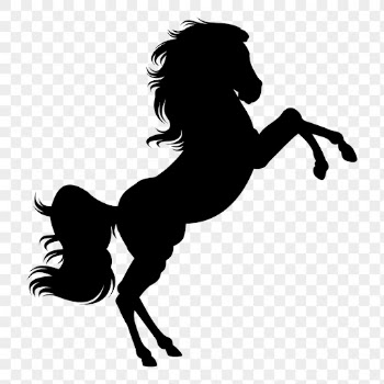Rearing horse png sticker animal | Free PNG - rawpixel