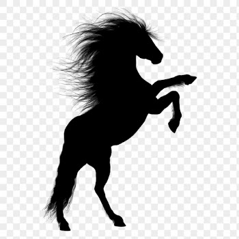 Rearing horse png sticker animal | Free PNG - rawpixel