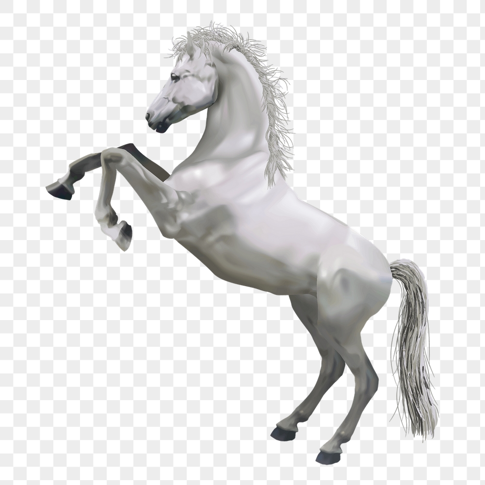 Rearing horse png sticker, animal | Free PNG - rawpixel