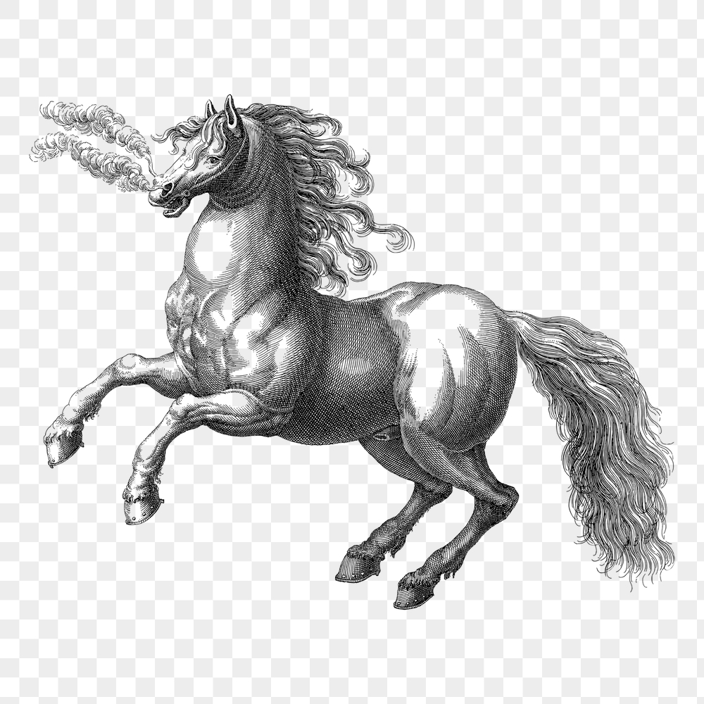 Rearing horse png sticker, animal | Free PNG - rawpixel