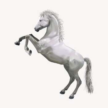 Rearing horse sticker, animal illustration | Free Vector - rawpixel