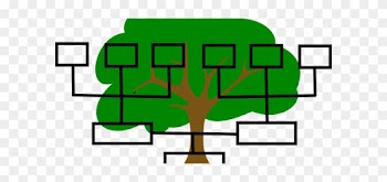 Rebirthing - Joga Oddechowa - Uzdrawianie - Psychoterapia - Blank Family Tree Transparent