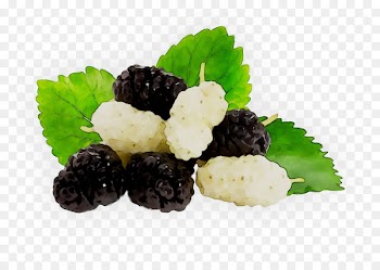 Recipe Superfood BlackBerry Limited -  