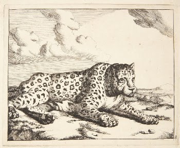 Reclining leopard, facing right by Marcus | Free Photo - rawpixel