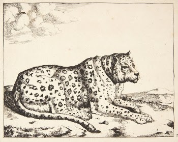Reclining leopard, facing right by Marcus | Free Photo - rawpixel