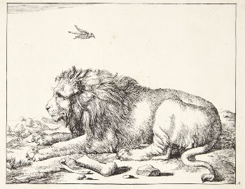 Reclining lion by Marcus de | Free Photo - rawpixel