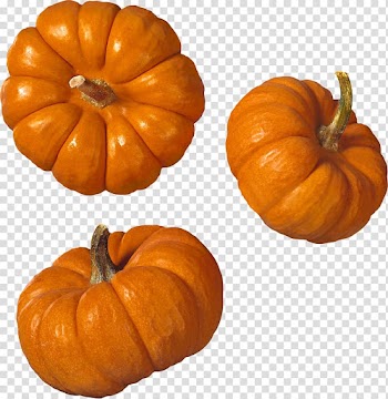 Recovering Our Ancestors' Gardens: Indigenous Recipes and Guide to Diet and Fitness Pumpkin Vegetable Food, Pumpkin transparent background PNG clipart