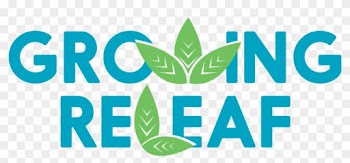 Recreational &amp; Medical Marijuana Dispensaries Near - Mug