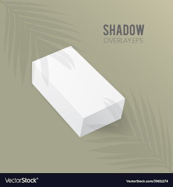 rectangle box mockup perspective with leaf shadow