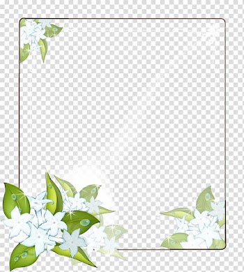Rectangular white petaled flowers frame panel illustration, Cape jasmine Flower Frames, floral frame transparent background PNG clipart