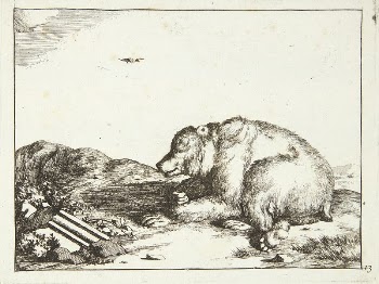 Recumbent bear, facing left by Marcus | Free Photo - rawpixel