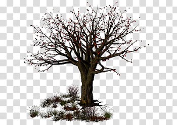 Recursos Halloween, tree and grasses transparent background PNG clipart