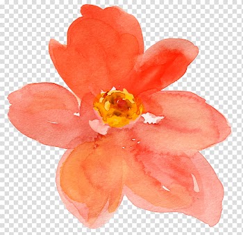 Recursos Watercolor flower S, pink and yellow petaled flower transparent background PNG clipart