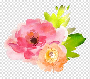Recursos Watercolor flower S, pink and yellow petaled flowers transparent background PNG clipart