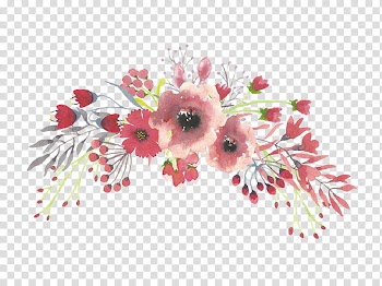Recursos Watercolor flower S, white and pink petaled flowers transparent background PNG clipart
