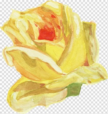 Recursos Watercolor flower S, yellow and white floral textile transparent background PNG clipart