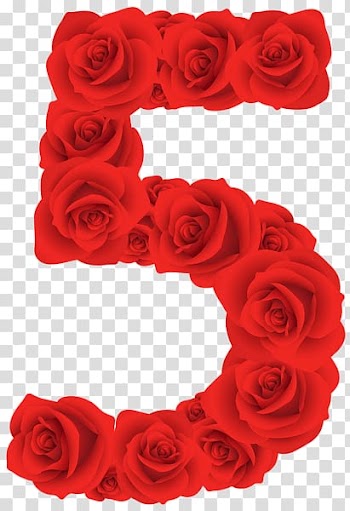 Red 5 rose illustration, Red Roses Five Number transparent background PNG clipart