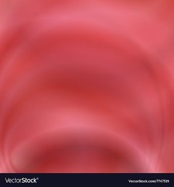 Red abstract blur background design vector image