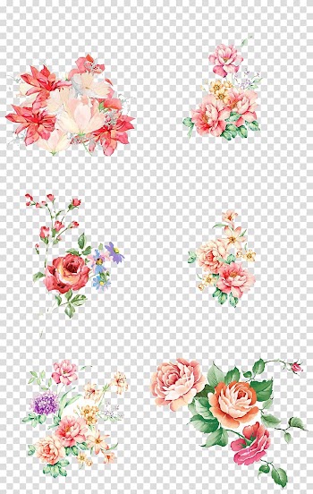 Red and beige flowers digital illustration, Floral design Flower Watercolor painting, Floral Watercolor transparent background PNG clipart