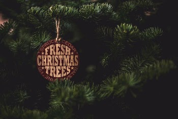 Red and Black Christmas Ornament