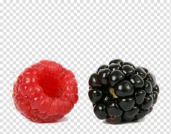 Red and black fruits , Frutti di bosco Blackberry Raspberry, Raspberry blackberry fruit transparent background PNG clipart