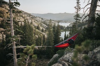 red and black hammock on forest