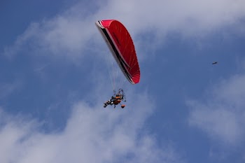 Red and Black Parachute