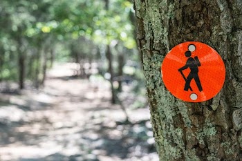 red and black signage on tree og
