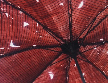 Red and Black Umbrella