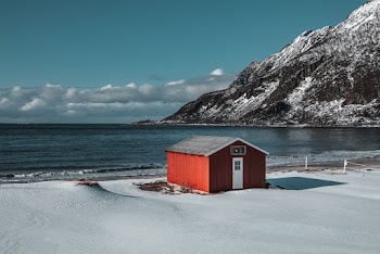 Red and Black Wooden Shed by the Seashore