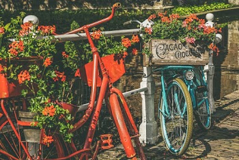 Red and Blue Bicycles