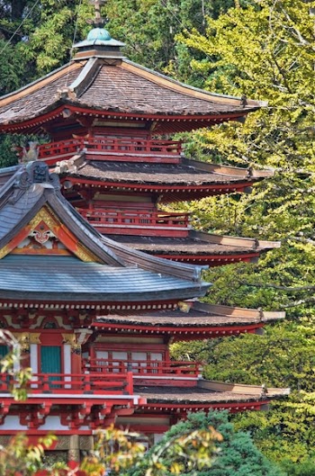 Red and Blue Temple Behind Green Leaf Trees at Daytime