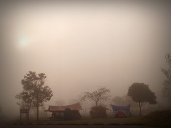Red and Blue Tents Near Trees