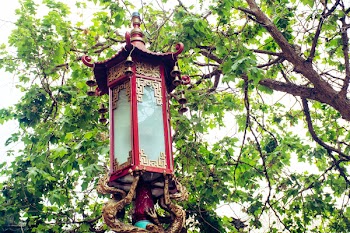 Red and Brown Light Post Under Green Leaf Tree
