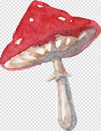 Red and brown mushroom illustration, Alice's Adventures in Wonderland Drawing Watercolor painting Quotation, Hand drawn Mushrooms transparent background PNG clipart