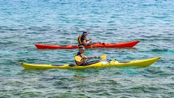 Red and Green Boats