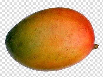 Red and green mango, Mango Apple Fruit Icon, Mango transparent background PNG clipart