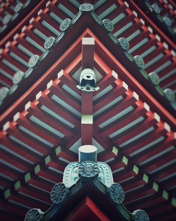 red and green wooden roof