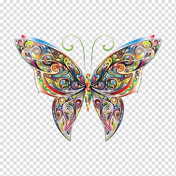 Red and multicolored butterfly illustration, Butterfly Coloring book Decal Illustration, Colorful butterfly transparent background PNG clipart