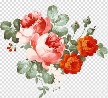 Red and orange flowers illustration, Flower Watercolor painting , peonies transparent background PNG clipart